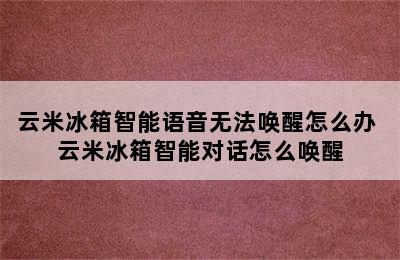 云米冰箱智能语音无法唤醒怎么办 云米冰箱智能对话怎么唤醒